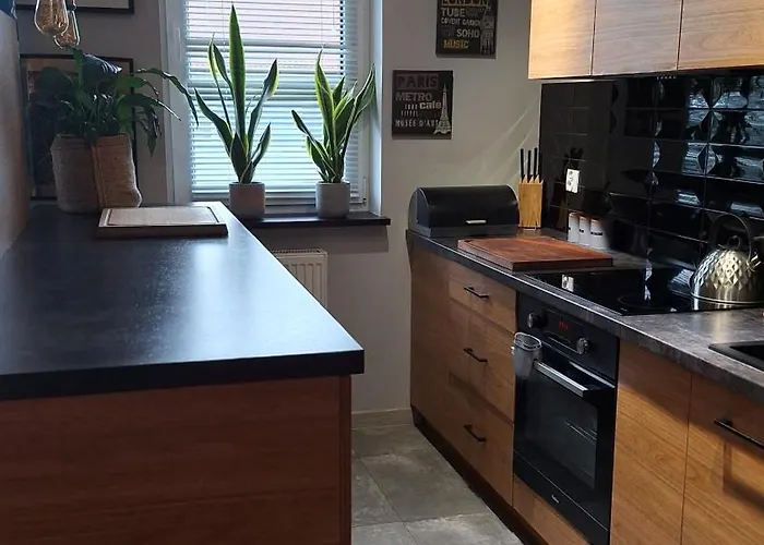 Apartment Loft Blisko Centrum *